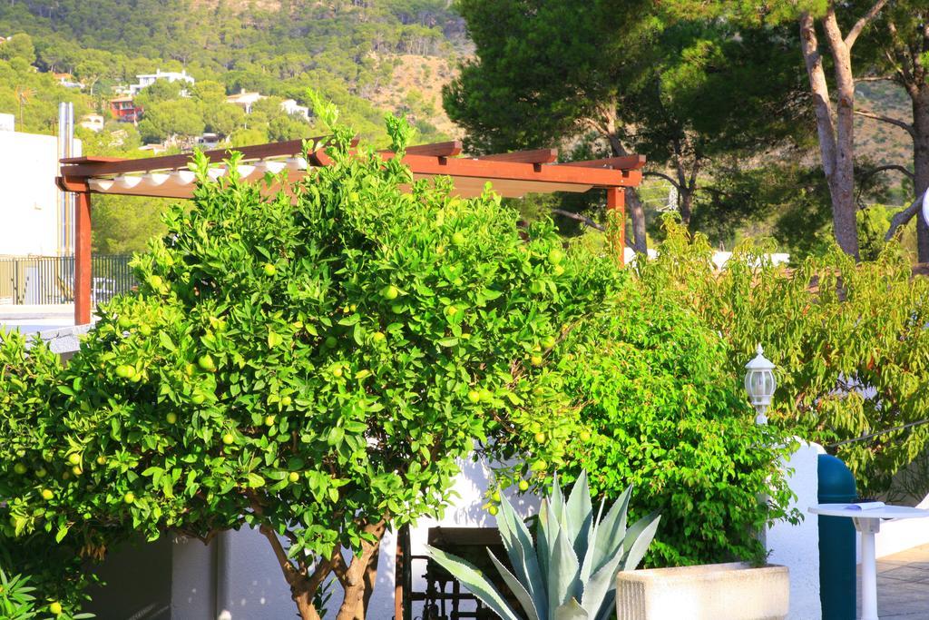 Villa Columbus Family Boutique Hotel Peguera Luaran gambar