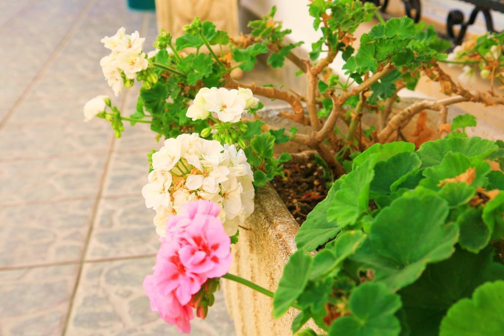 Villa Columbus Family Boutique Hotel Peguera Luaran gambar